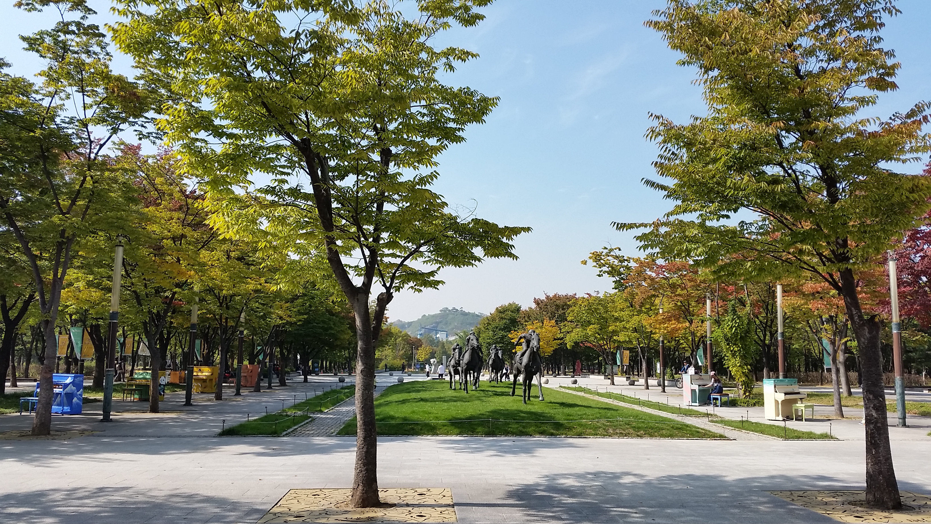 Seoul forest 1