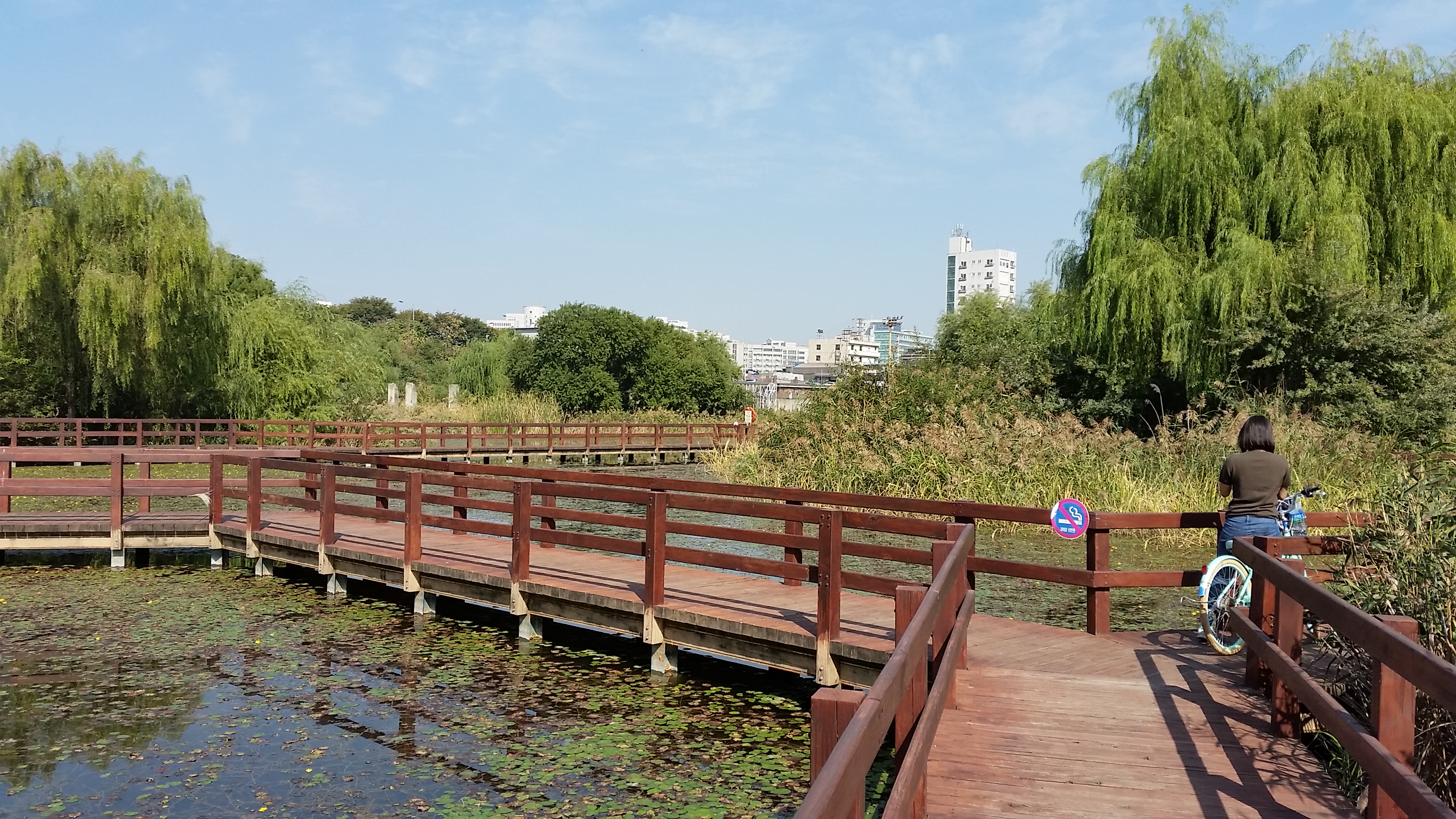 Seoul forest 2
