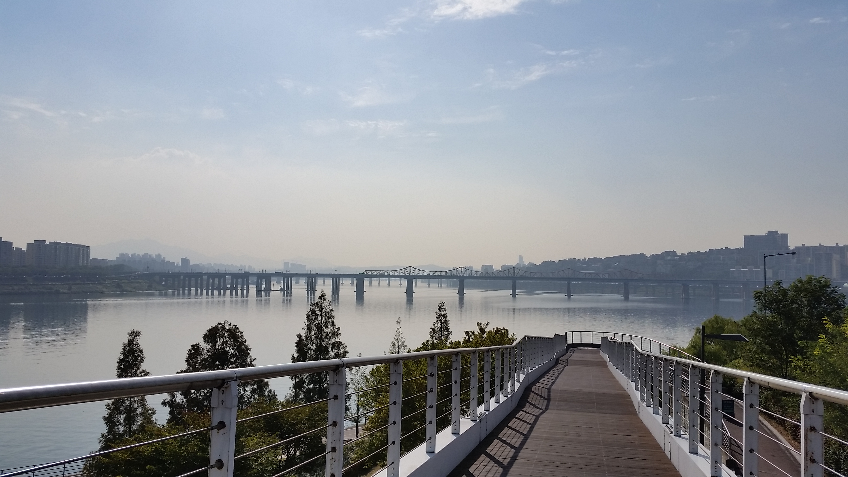 Seoul forest 5