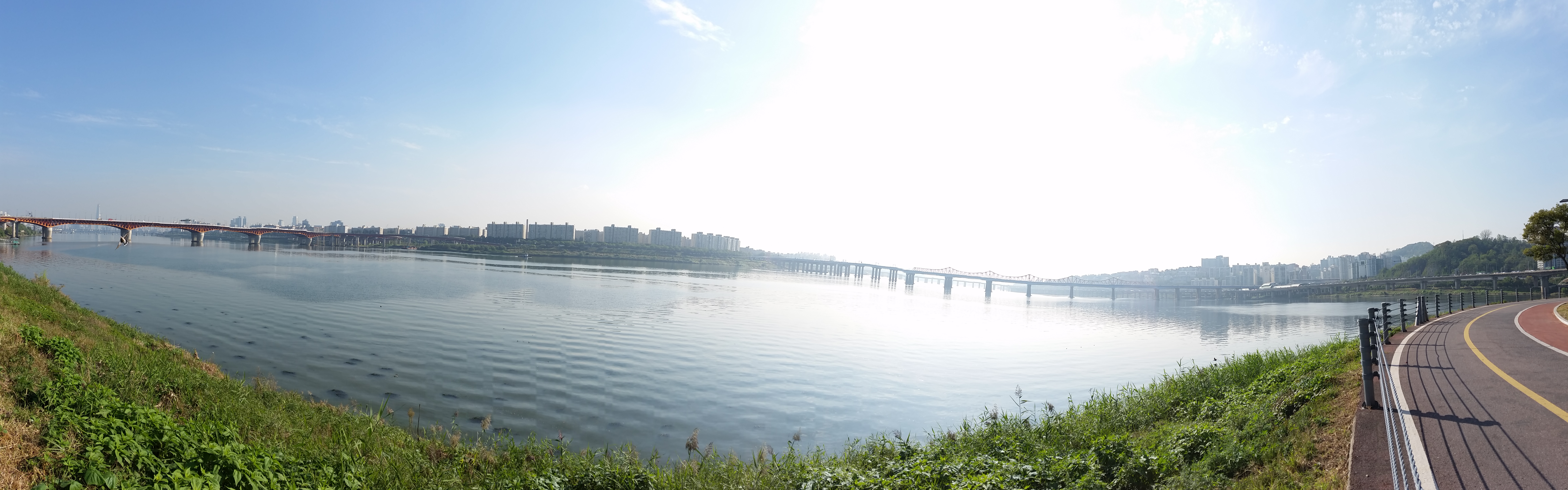 Seoul forest 6
